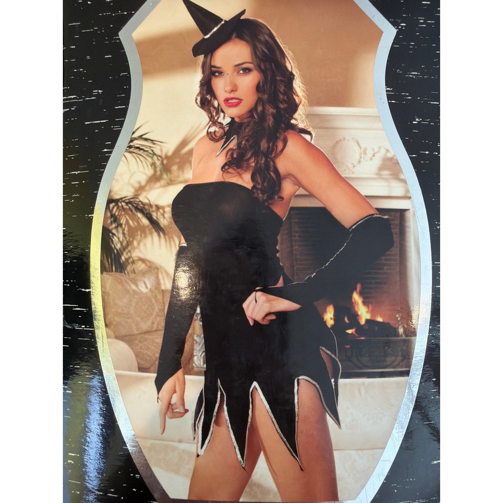 Elegant Moments Bewitching Beauty Black Nylon Mesh Tube Dress Witch Costume OSFM